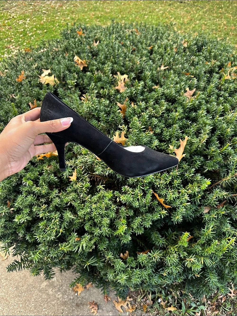 Black Pointed-Toe Heels